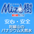 Mizの樹